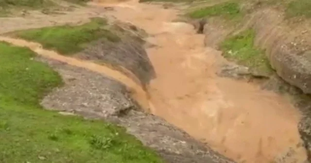 Siirt te dolu yağışı etkili oldu, bahçeler zarar gördü Siirt Haberleri