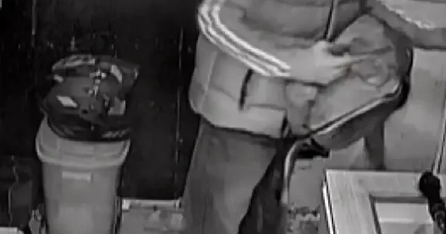 Hatay da usta çırak hırsızlığı: Sadece sıfır telefonları al talimatı dikkat çekti VİDEO İZLE