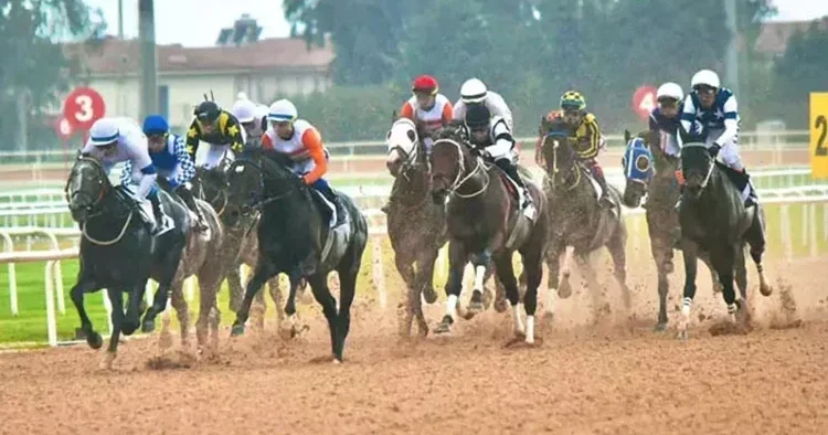 Adana’da Akdeniz Derbisi’nin kazananı ‘Dapper Man’ oldu!