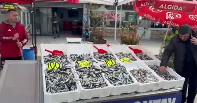 Zonguldak ta tezgahlarda istavrit bolluğu: Kilosu 100 liradan satılıyor