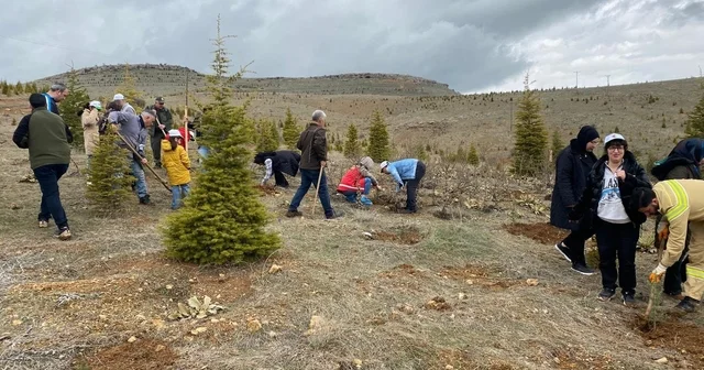 Elazığ da fidan dikim etkinliği Elazığ Haberleri
