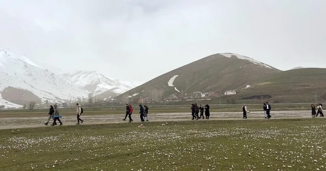 Üniversite öğrencilerinden çiğdemler arasında doğa yürüyüşü Bitlis Haberleri