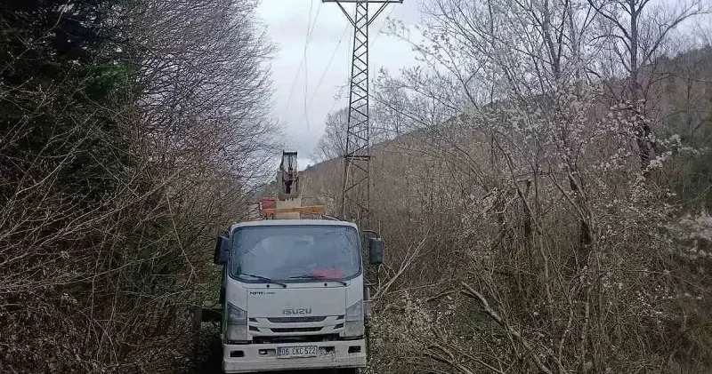 Bilecik’te arızayı gidermek isterken elektrik akımına kapılan işçi ağır yaralandı Gündem Haberleri