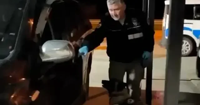 Samsun da tacirlerin dev sevkiyatı engellendi: 42 kilo bonzai üretilecek hammadde ele geçti VİDEO İZLE