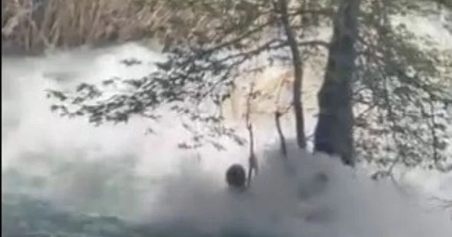 Tarsus ta kayıp genç akıntıya böyle kapıldı: Son görüntüleri ortaya çıktı Mersin Haberleri