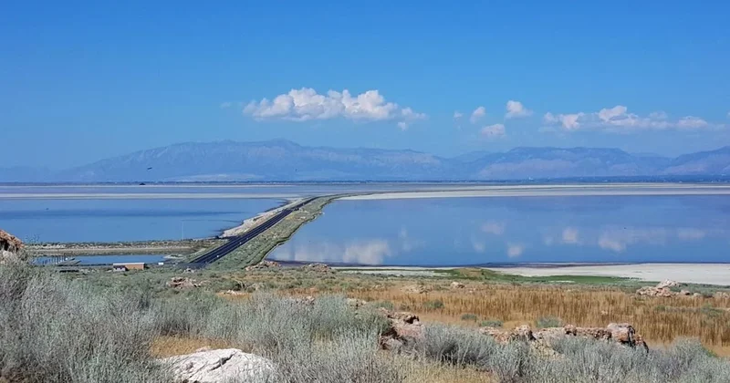 Büyük Tuz Gölü nde hayatta kalabilen canlının sırrı açığa çıktı Sözcü Gazetesi