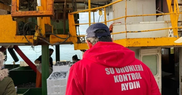 Hamsi kotası için Didim de denetim yapıldı Aydın Haberleri
