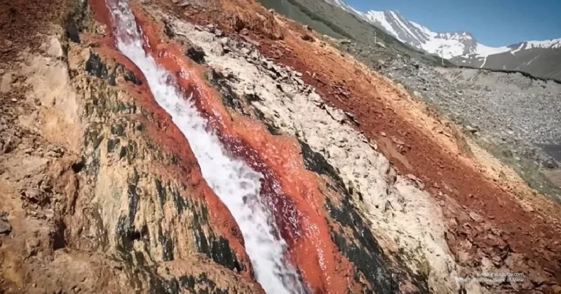 Koca vadi fermuar gibi ikiye yarıldı Sözcü Gazetesi