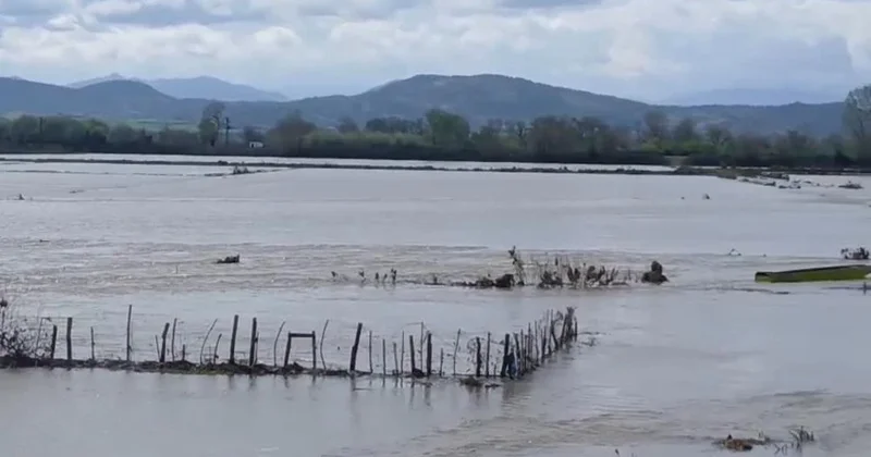Meriç Nehri taştı, sular yollara ulaştı