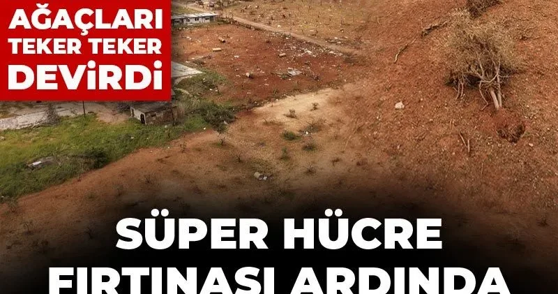 Süper hücre fırtınasının yıkımı zam olarak dönecek! Antep fıstığında kötü haberi verdi