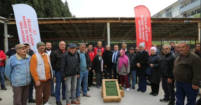 500 bin ata tohumundan üretilen fideler toprakla buluşuyor Muğla Haberleri