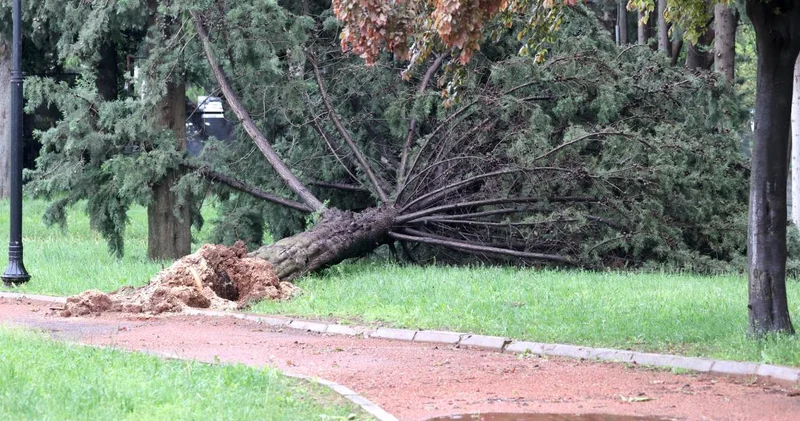 Gaziantep te sağanak: Masal Parkı nda ağaçlar devrildi!