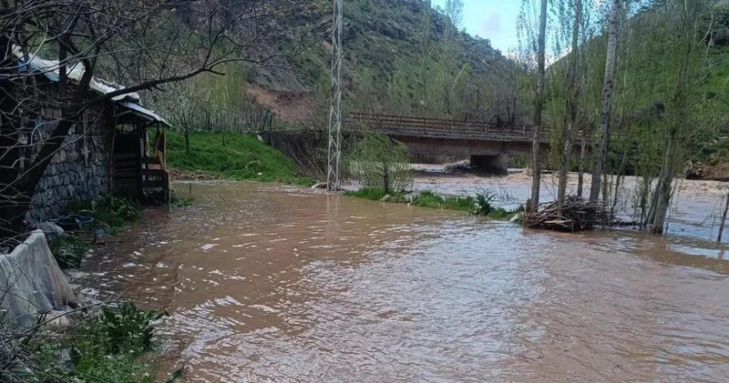Şırnak’ta Habur Çayı taştı, ev ve ahırları su bastı