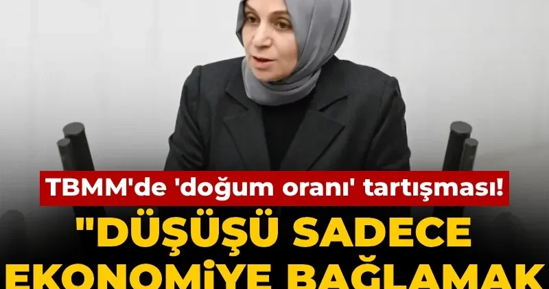 TBMM de doğum oranı tartışması! AKP li Usta: Düşüşü sadece ekonomiye bağlamak sığ bir bakış açısı