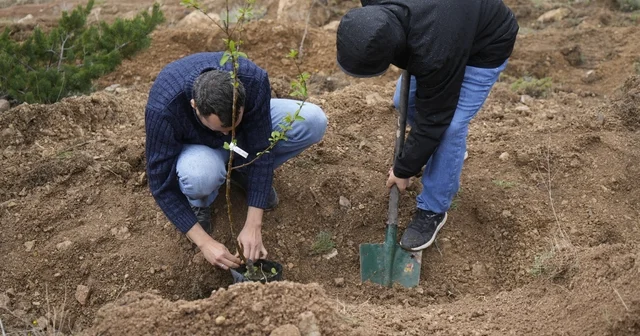 Gümüşhane Üniversitesi nde akademisyenler için meyve bahçesi oluşturuldu Gümüşhane Haberleri