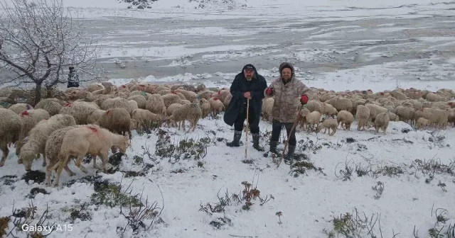 Tipi vurdu heyelan yolu kapattı 2 çoban ve yaklaşık 650 küçükbaş hayvan yaylada mahsur kaldı VİDEO İZLE