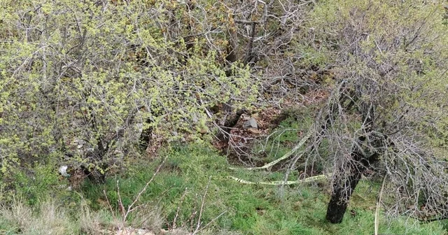Isparta da yüksekten düşen 36 yaşındaki kadın hayatını kaybetti Onu kurtarmak isterken birlikte düştüklerini iddia eden bir kişi ifadesi alınmak üzere polis merkezine götürüldü Isparta Haberleri