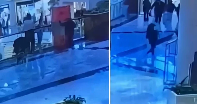 Sarıyer de AVM de çanta çalan 10 yaşındaki çocuk yakalandı: 92 suç kaydı çıktı İstanbul Haberleri