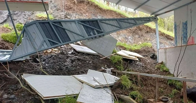 Bilecik te toprak kayması nedeniyle çöken ahır duvarının altında kalan 3 büyükbaş telef oldu Bilecik Haberleri
