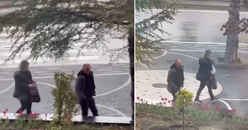 Yer: Kayseri! Belediyenin diktiği laleleri böyle çaldılar