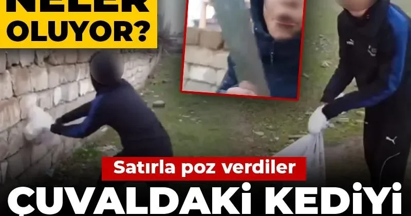Bu çocuklara neler oluyor? Çuvaldaki kediyi duvara vurup satırla poz verdiler