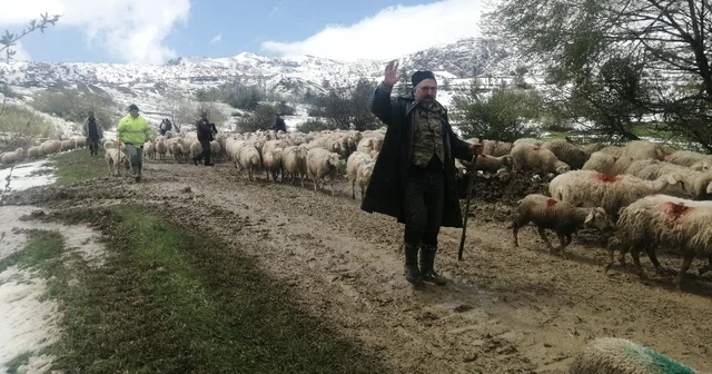 Isparta da yaylada mahsur kalan çobanlar 30 saat sonra kurtarıldı Kurtarılan çoban Bilal Akpınar: Koyunlarımızı avluya kapattık ve soğukta ateş başında sabahladık Isparta Haberleri