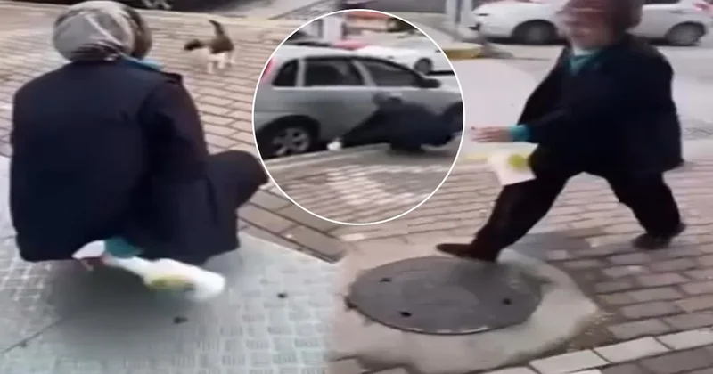 Sokak kedisine yaptığı eziyeti paylaşan vicdansız çalıştığı zincir marketten kovuldu Sözcü Gazetesi