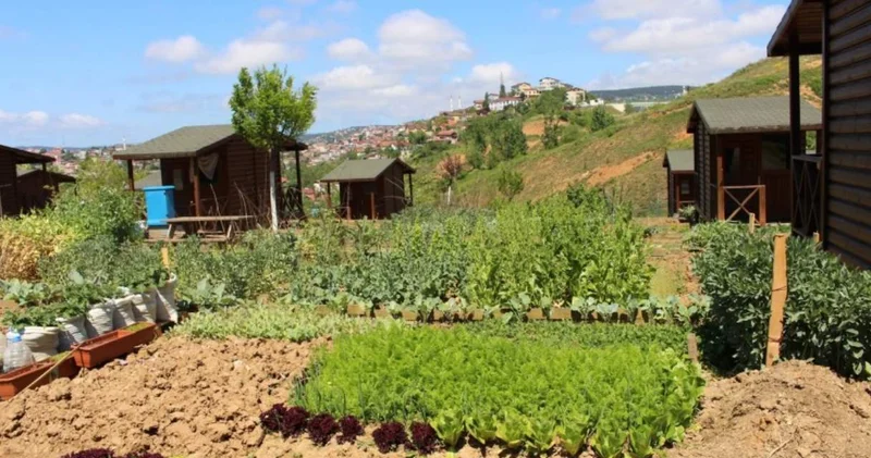 Hobi bahçesi tartışmasında bakan noktayı koydu