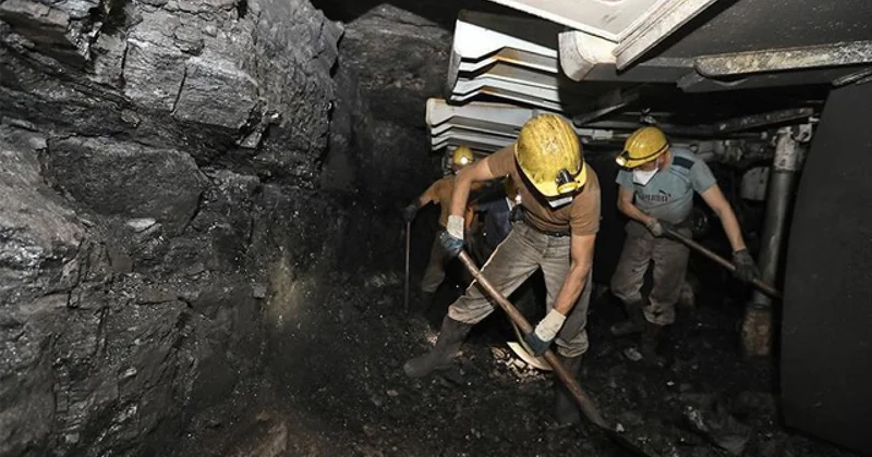 TTK, Zonguldak ve Bartın da 262 daimi işçi alacak