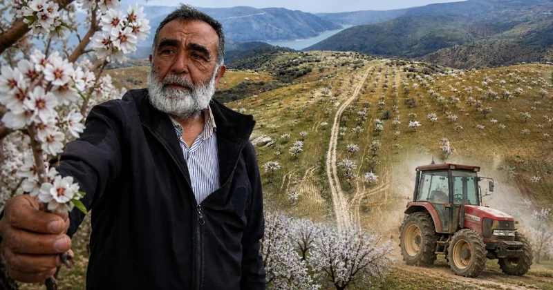 Traktöre bile hiç binmemişti: Emekli doktor 1000 dönüm arazide rekor hasat elde etti Sözcü Gazetesi