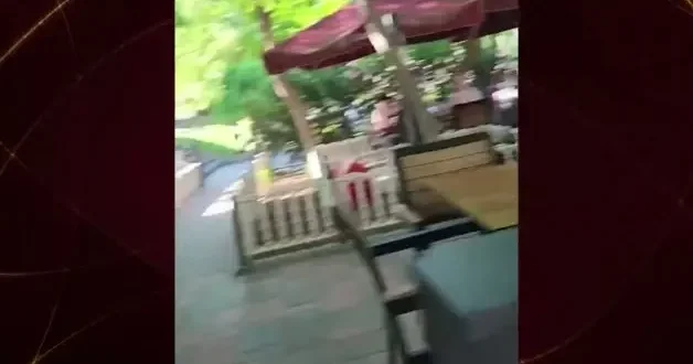 Köpek giremez tartışması sosyal medyada gündem oldu