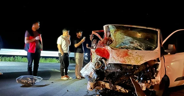 Bingöl de panelvan yola çıkan ata çarptı: 1 ölü, 2 yaralı Bingöl Haberleri