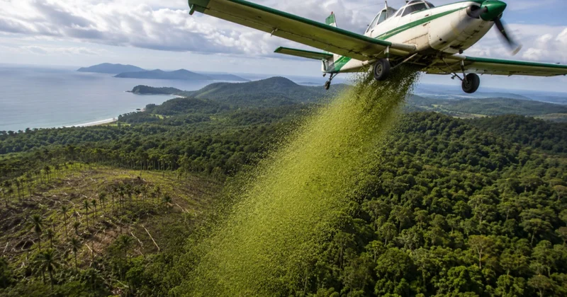 Helikopterle havadan 700 bin tane bıraktılar Sözcü Gazetesi