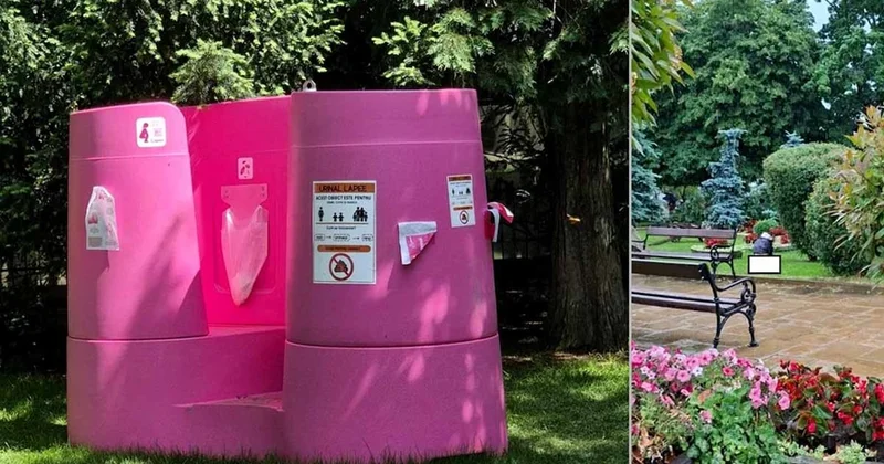 Parka koyulan pembe tuvalet şehri birbirine kattı Sözcü Gazetesi