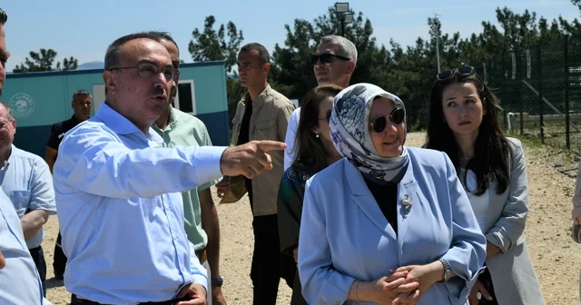 Tekirdağ Valisi Soytürk, Şarköy deki sahipsiz hayvan doğal yaşam alanını inceledi Tekirdağ Haberleri