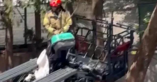 Gece boyunca ağaçta mahsur kaldı: Yavru kedi için seferber oldular VİDEO İZLE