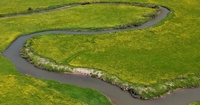 Güzeldere Vadisi baharın renkleriyle büyüledi: Fotoğraf tutkunlarının gözdesi oldu VİDEO İZLE