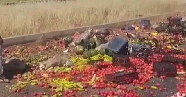 Diyarbakır’da sebze yüklü kamyonetin tekeri patladı: Kasadan savrulan ürünler yolu trafiğe kapattı VİDEO İZLE