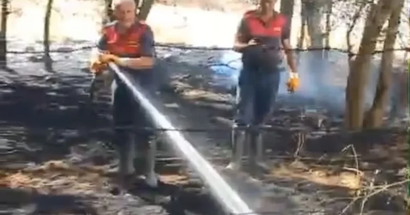 Elazığ’da örtü yangını