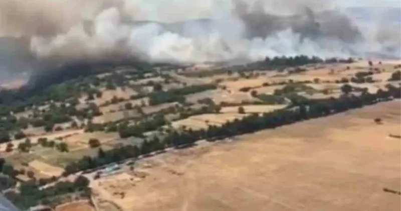 Balıkesir Altıeylül’de orman yangını