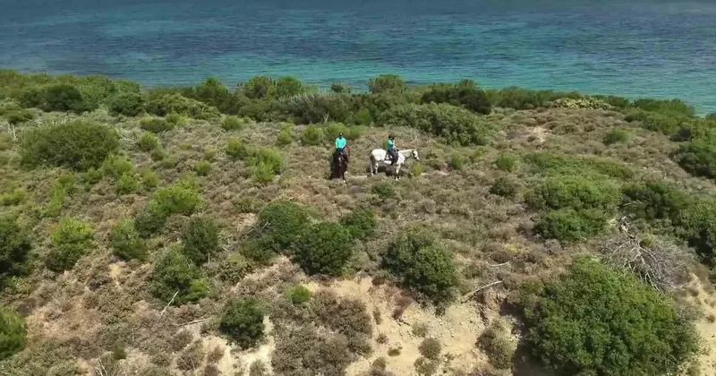 Çanakkale’de orman yangınlarına karşı ekipleri sahada