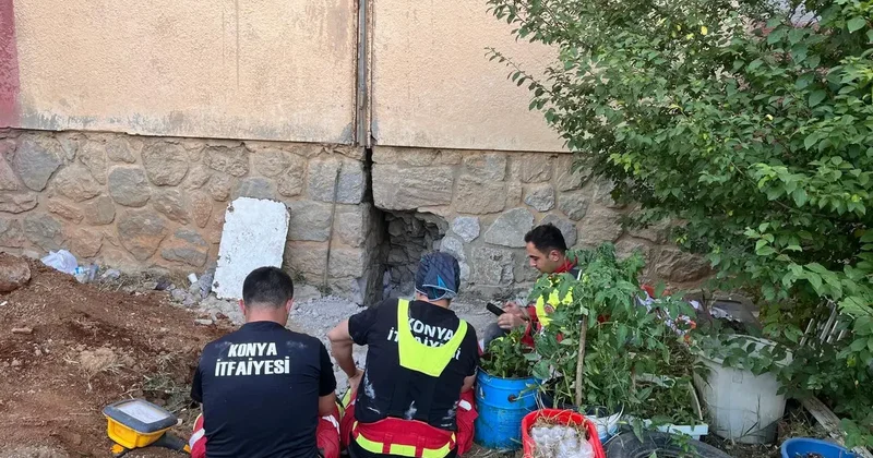 Mahsur kalan kedi 9 saatlik çalışma sonucu kurtarıldı