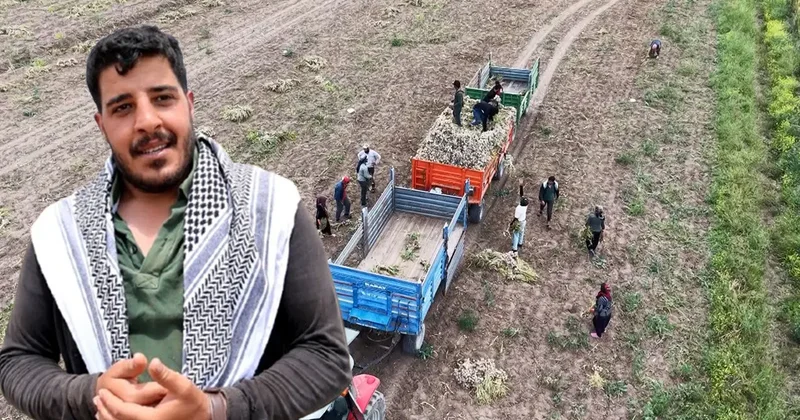 Bir aile başlık parası için çalışıyor! İstedikleri para da dudak uçuklattı