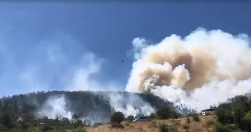 Balıkesir de peş peşe yangın! Tatil bölgesini alevler sardı