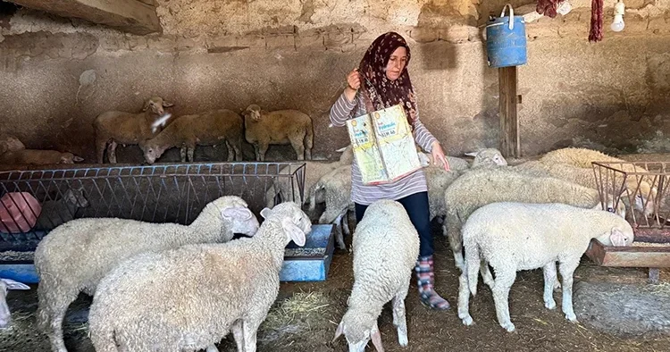 Eskişehir de büyü iddiasıyla öldürülen çiftçinin eşi, iki oğlunu okutmak için tek başına çobanlık yapıyor