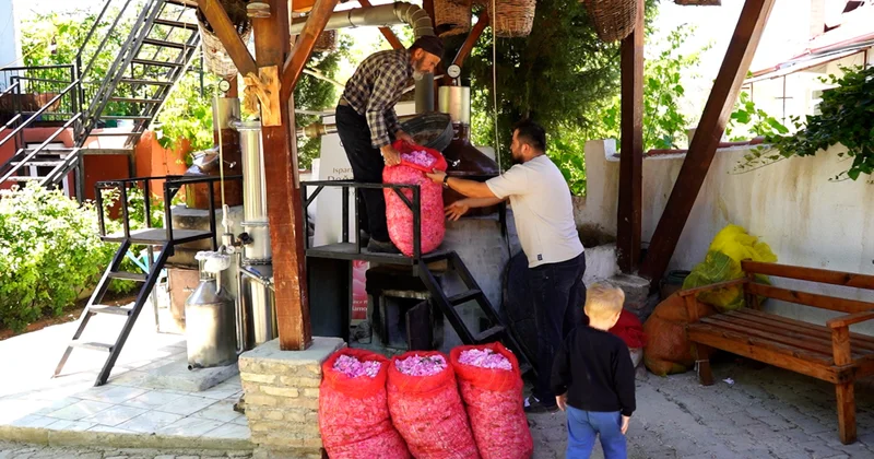 50 kilo üründen 2 saatte çıkan mucize: Almanlar kapış kapış alıyor! Sözcü Gazetesi