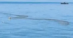 YÜKSEL AYTUĞ Söyler misiniz bu suyun neresi iyi?