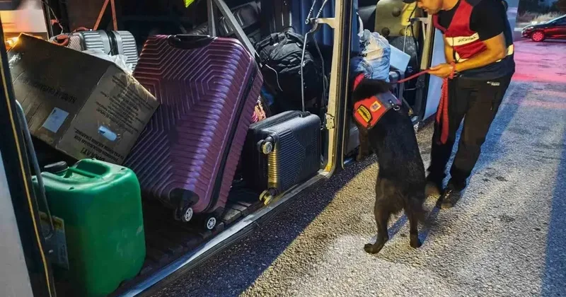Bilecik’te trafik ihlallerine 32 bin liralık ceza