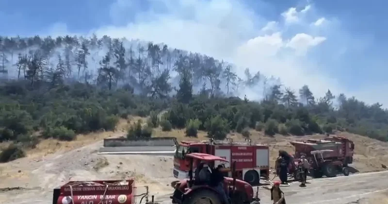 Kepsut’ta yangınla mücadele sürüyor