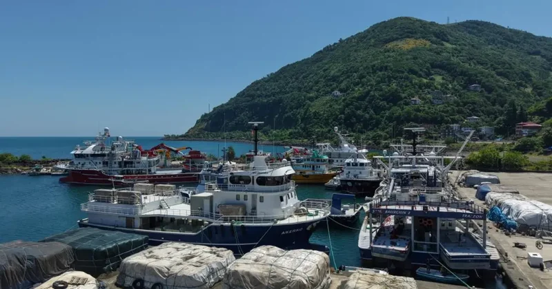 Balıkçıların yeni sezonda umudu palamut